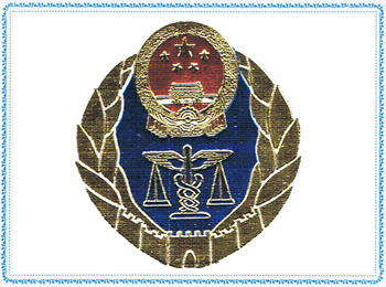 رخصة الجودة لتصدير اللعبة